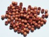 100 5x6mm Light Brown Crow Wood Beads